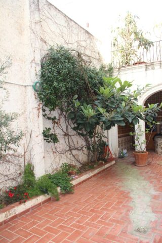 12 Estado_actual_Patio_Masnou_con_piscina_fondo_movil_Oliver_Segura_Arquitectura_12