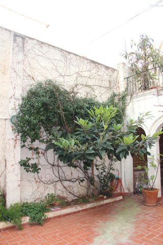 2 Estado_actual_Patio_Masnou_con_piscina_fondo_movil_Oliver_Segura_Arquitectura_2